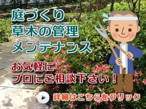 庭づくり、草木の管理、メンテナンス